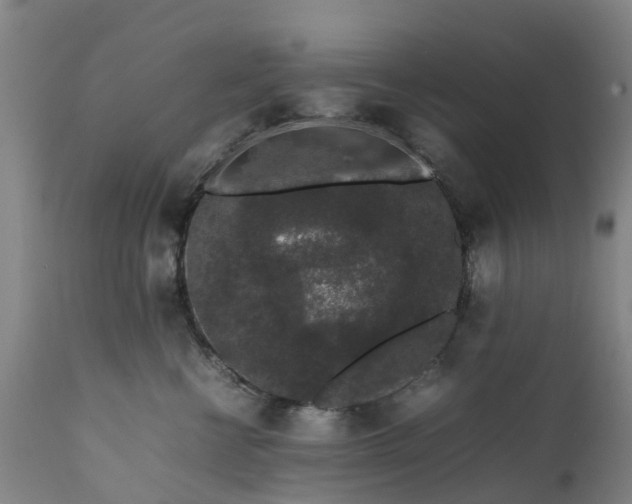 X0000111650570200907311319