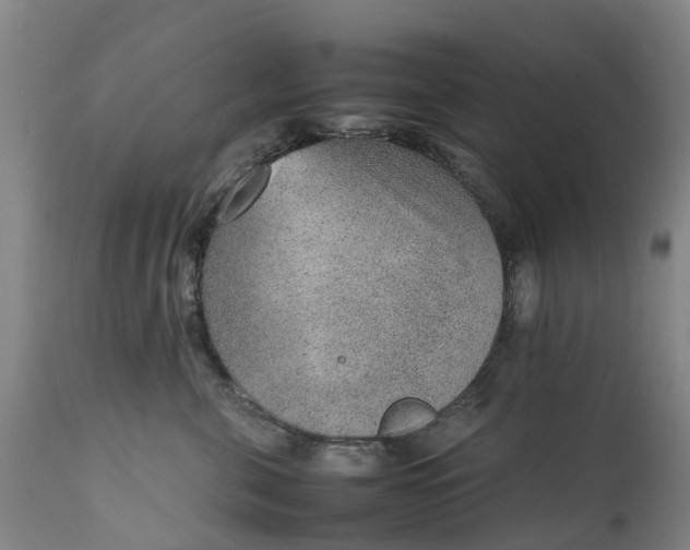 X0000111650571200907311319