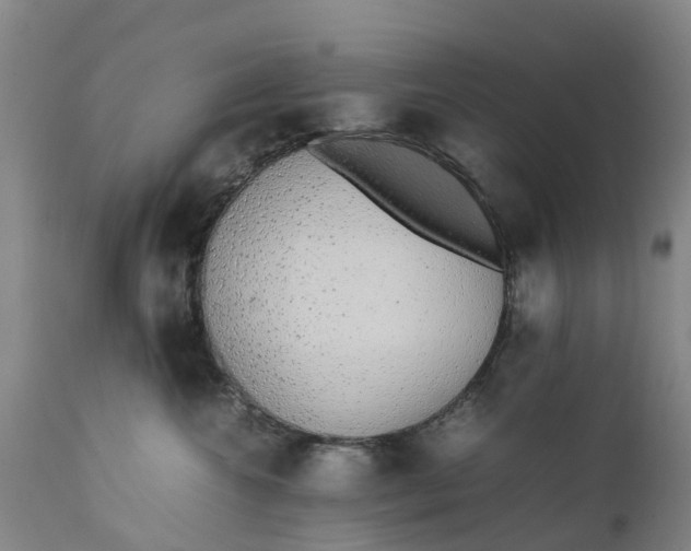 X0000111650572200907311319
