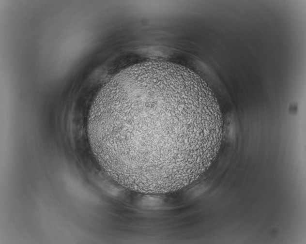 X0000111650573200907311319