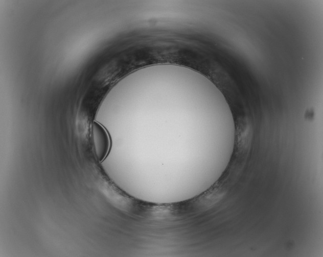X0000111650574200907311319