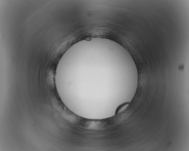 X0000111650575200907311319