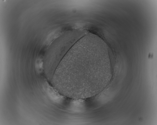 X0000111650576200907311319