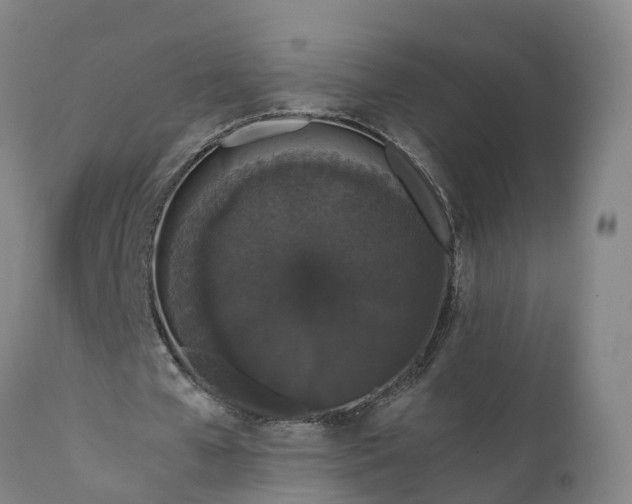 X0000111650577200907311318