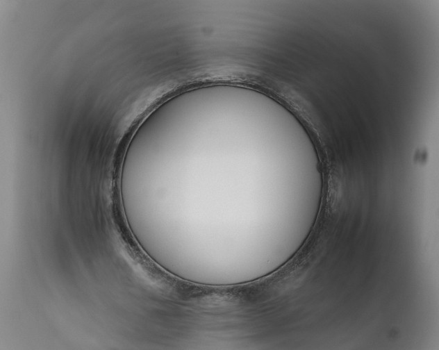 X0000111650578200907311318
