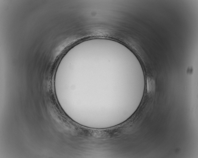 X0000111650579200907311318