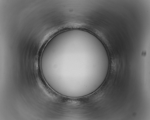 X0000111650582200907311318