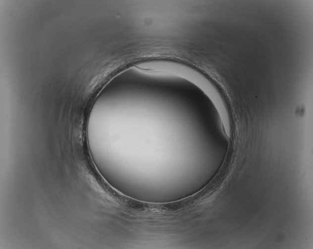 X0000111650585200907311318
