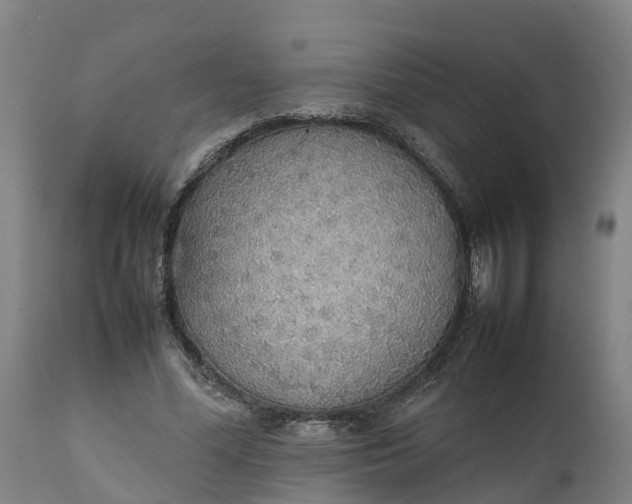 X0000111650588200907311318