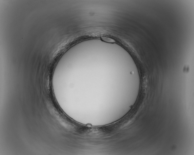 X0000111650589200907311318