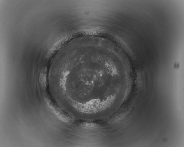 X0000111650590200907311318