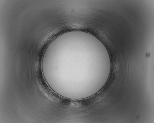 X0000111650591200907311318