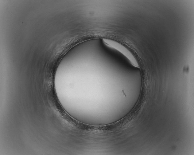 X0000111650593200907311318