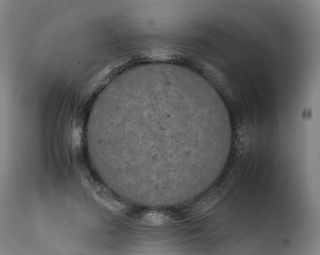 X0000111650596200907311318