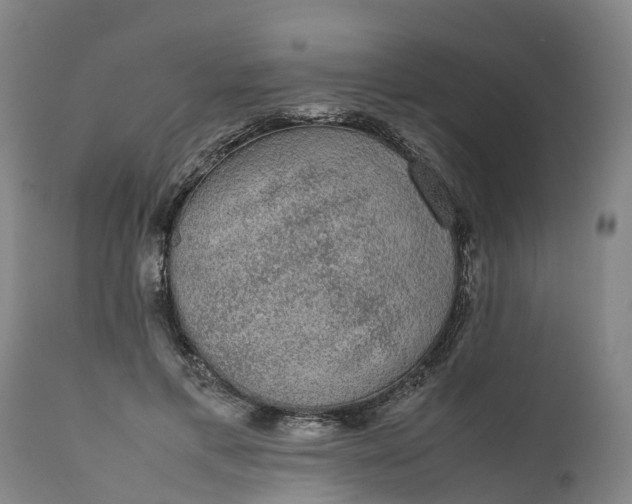 X0000111650597200907311318