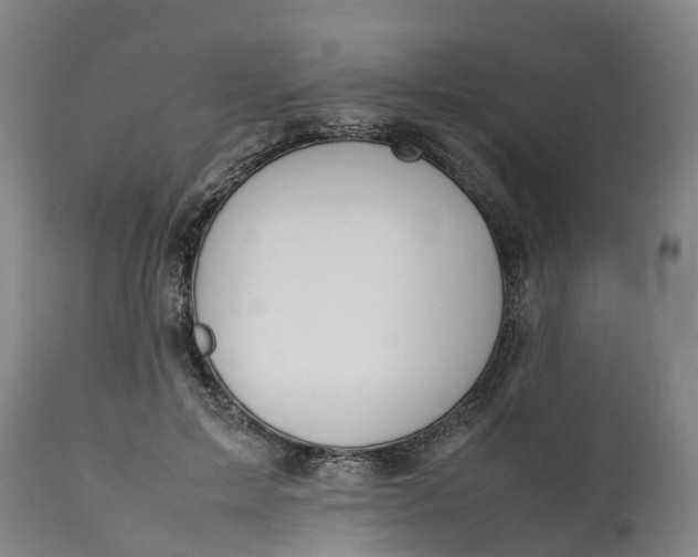 X0000111650599200907311318