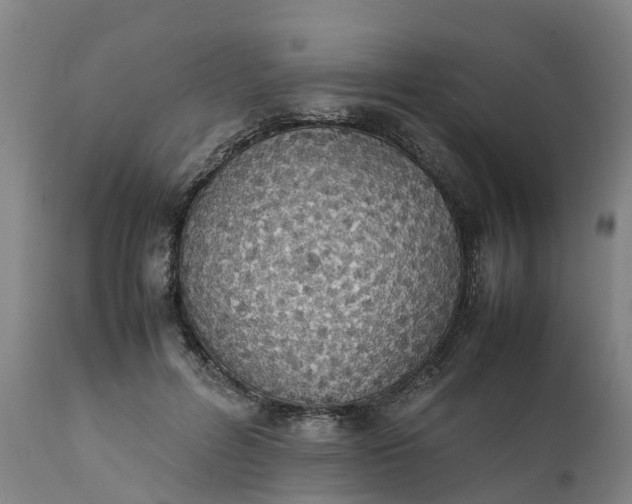 X0000111650600200907311318