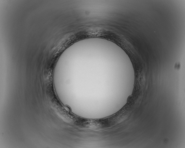 X0000111650601200907311318