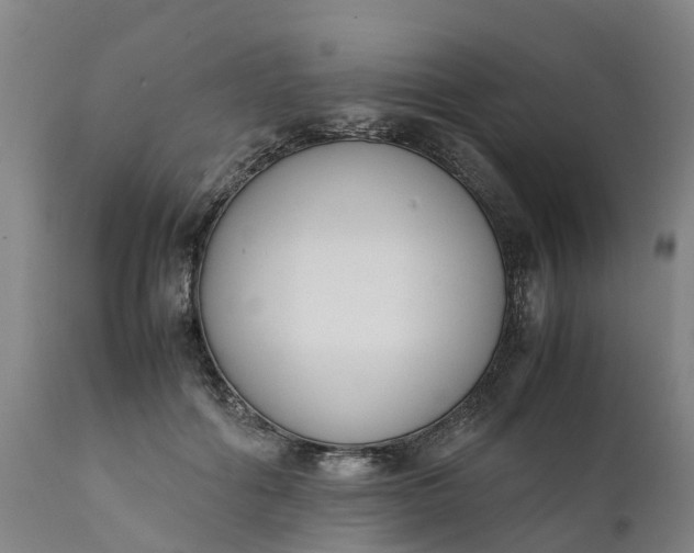 X0000111650602200907311318