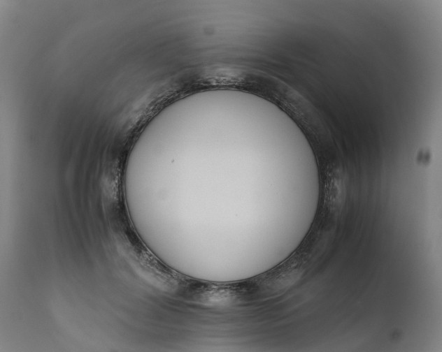 X0000111650604200907311318