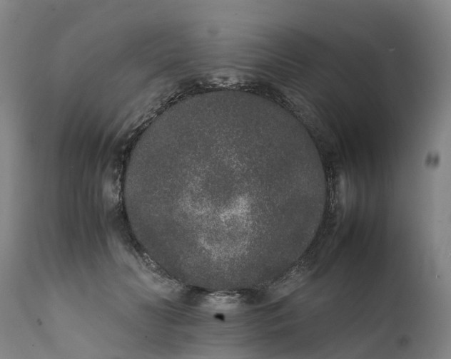 X0000111650606200907311318