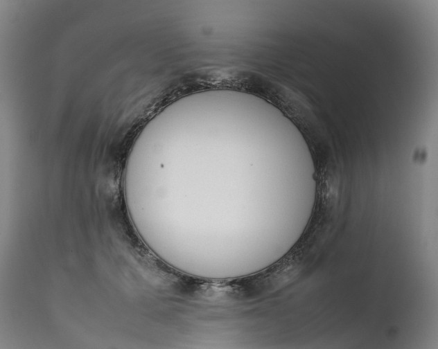 X0000111650607200907311318