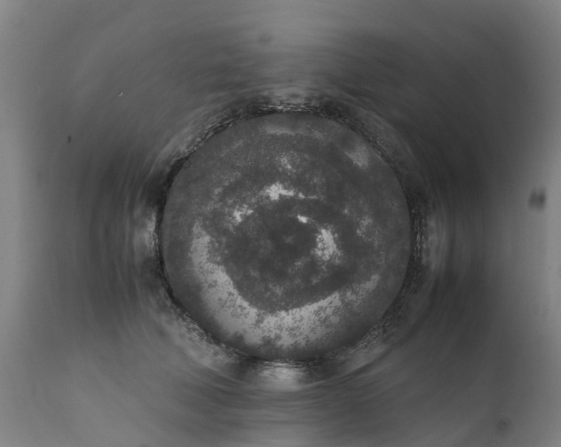 X0000111650610200907311318