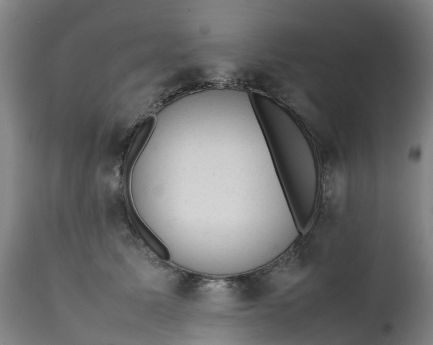 X0000111650611200907311318
