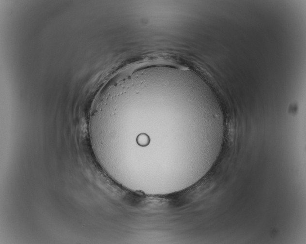 X0000111650617200907311318