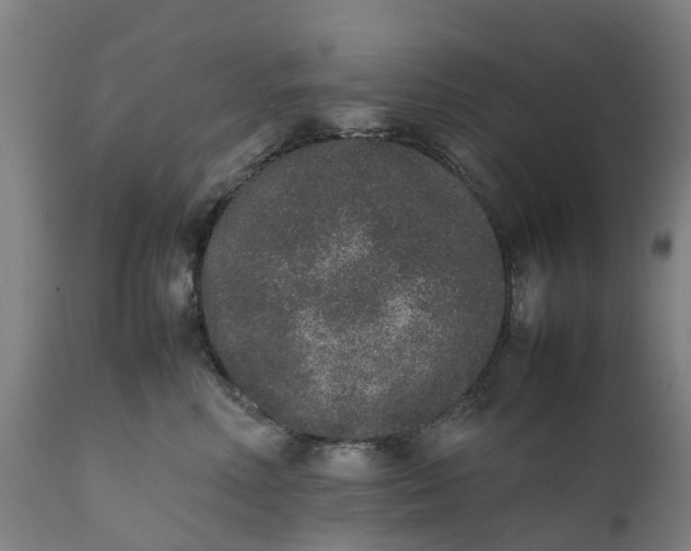 X0000111650618200907311318