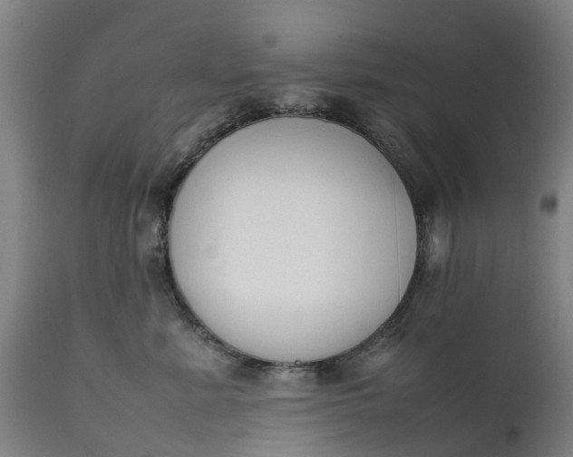X0000111650619200907311318