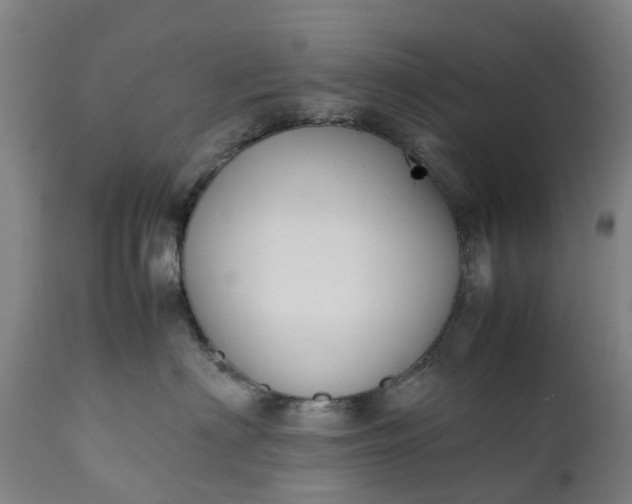 X0000111650622200907311318
