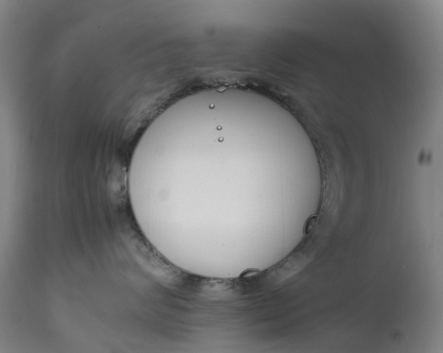 X0000111650624200907311318