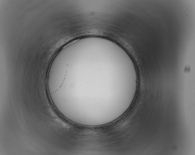 X0000111650625200907311317