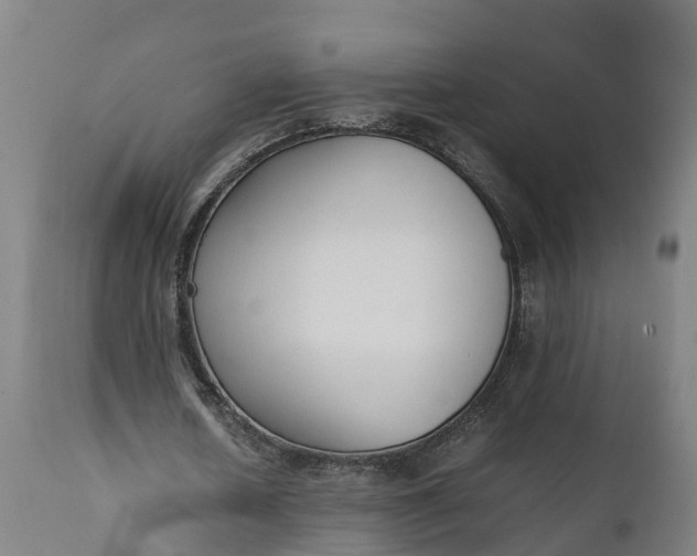 X0000111650626200907311317