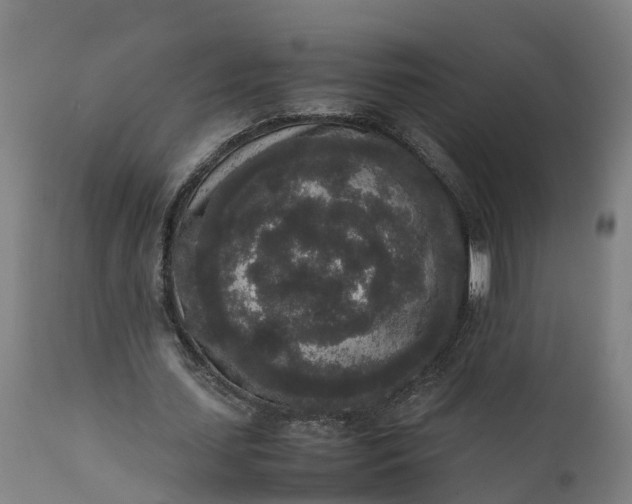 X0000111650627200907311317