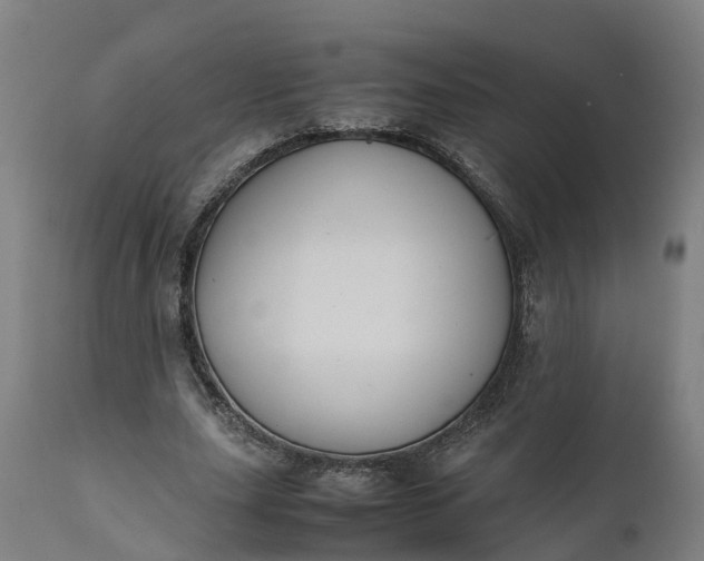X0000111650631200907311317