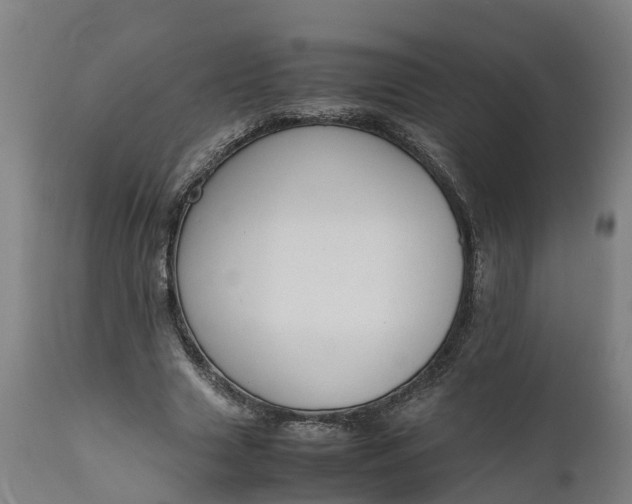 X0000111650633200907311317