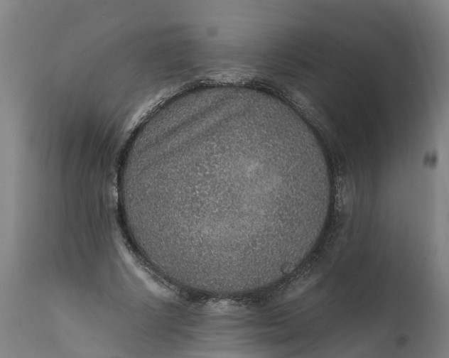 X0000111650634200907311317