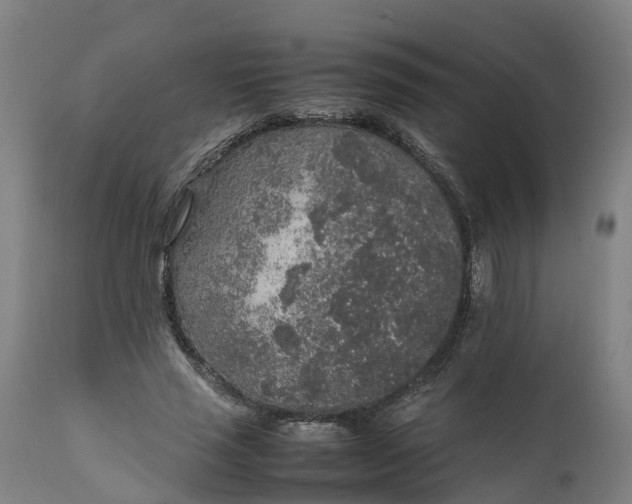 X0000111650637200907311317