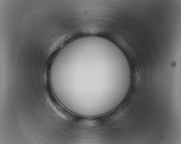 X0000111650638200907311317