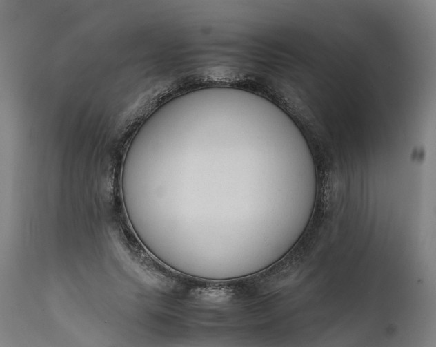 X0000111650639200907311317