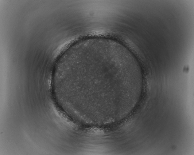X0000111650640200907311317