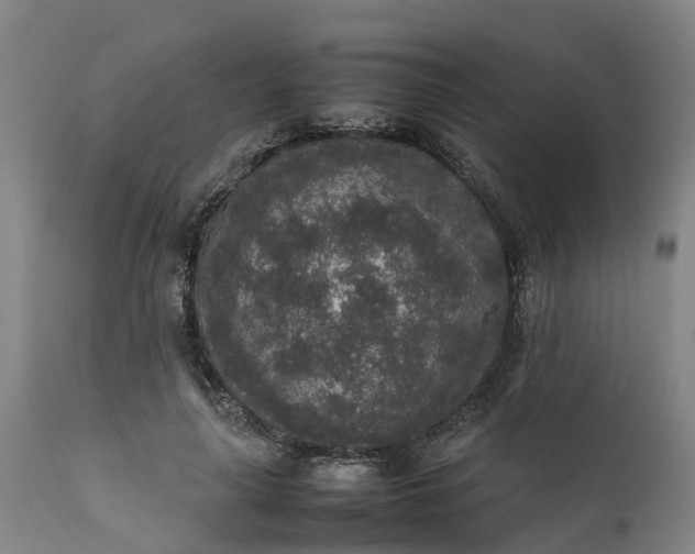 X0000111650643200907311317