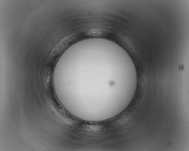 X0000111650645200907311317