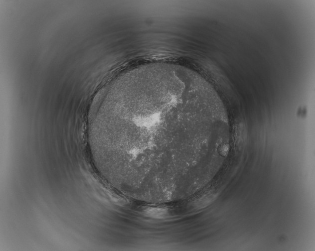 X0000111650653200907311317