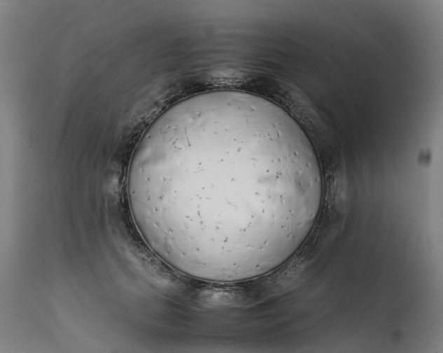 X0000111650655200907311318