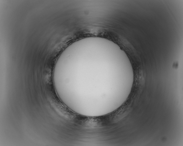 X0000111650656200907311318