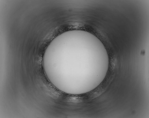 X0000111650657200907311318