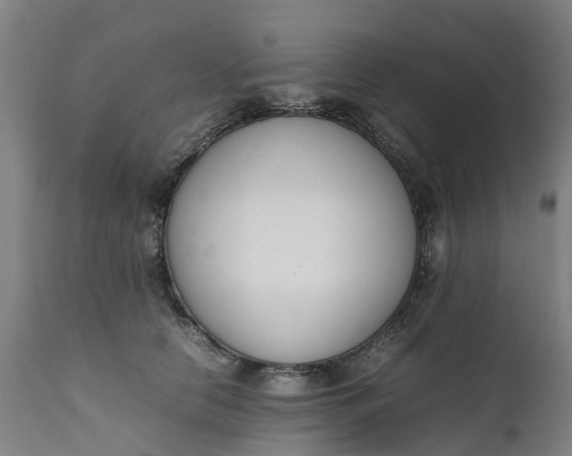 X0000111650658200907311318